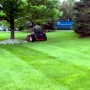 Featured image - Tips about Uncommon Lawn Maintenance Issues