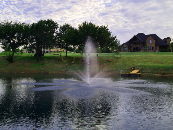 Featured image - 3 Basic Ways to Keep Your Pond Clear and Healthy