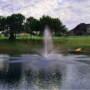 Featured image - 3 Basic Ways to Keep Your Pond Clear and Healthy
