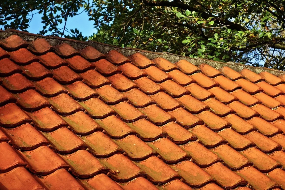 Featured image - 5 Major Enemies of Your Roof