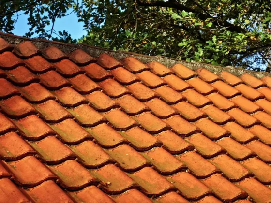 Featured image - 5 Major Enemies of Your Roof