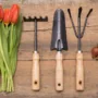 Featured image - A Guide for Gardening Essentials for Beginners