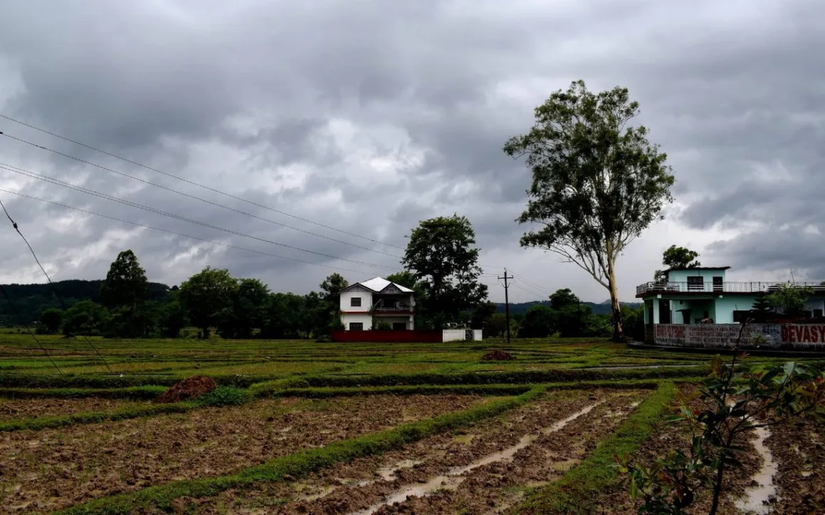 Featured image - Agricultural Tips for the Rainy Season