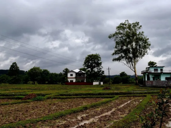 Featured image - Agricultural Tips for the Rainy Season