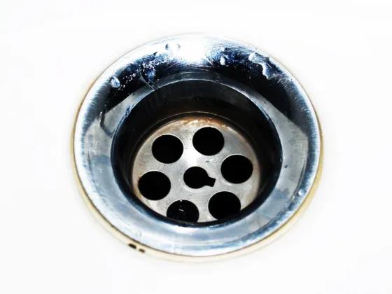 featured image - Importance of Obtaining Drain Cleaning Services