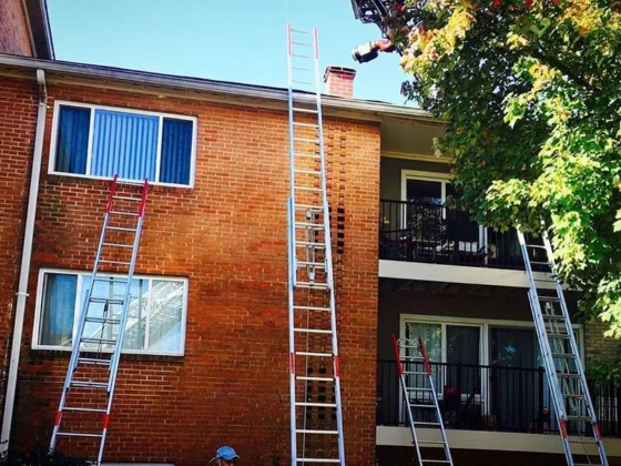 featured Image - 5 Tips for Ladder Safety