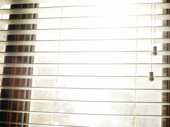 Featured image - Top Tips to Maintain Window Blinds