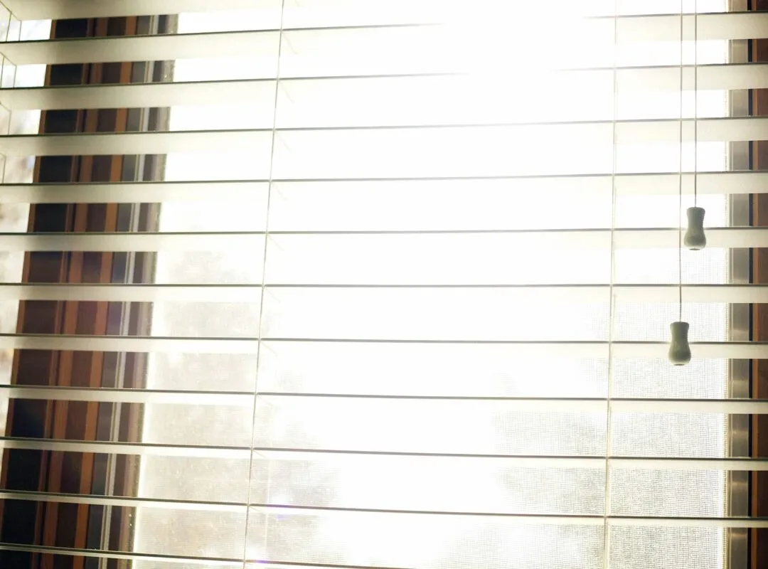 Featured image - Top Tips to Maintain Window Blinds