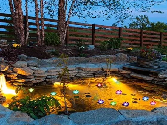 Featured image - How to Install Underwater Pond Lights