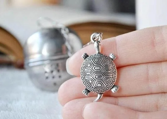 Featured image - What Are the Best Turtle Gifts