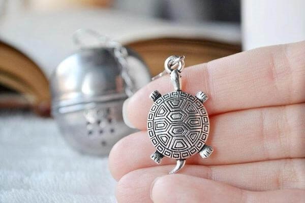 What Are the Best Turtle Gifts? image - What Are the Best Turtle Gifts