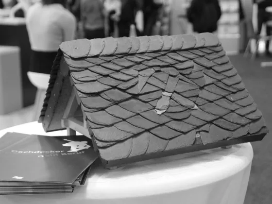 Featured image - What to Look for in a Roofer