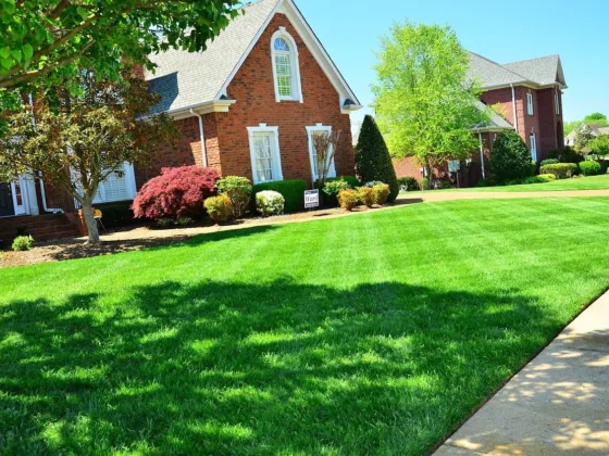 Featured image - Why You Should Hire Commercial Lawn Maintenance Company