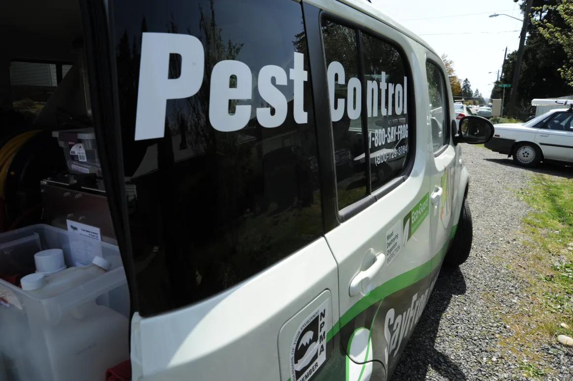 Featured image - Pest Control Services for Homes and Commercial Premises: Why You Need a Professional
