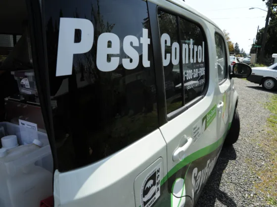 Featured image - Pest Control Services for Homes and Commercial Premises: Why You Need a Professional