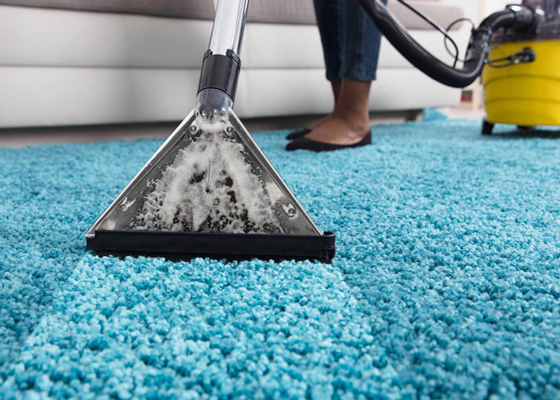 Featured image - 5 Definitive Ways on How to Use a Shop Vac on Wet Carpet