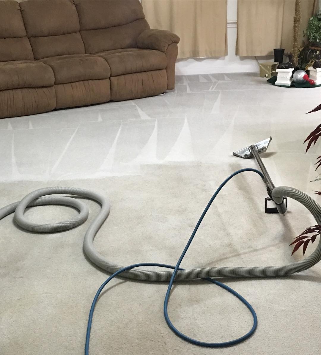 How to Select a Carpet Cleaning Service A Guide image - How to Select a Carpet Cleaning Service A Guide