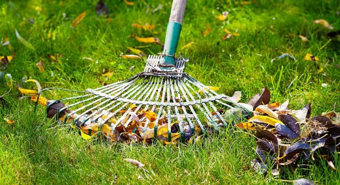 Commercial Lawn Care Tips for Summer & Winter