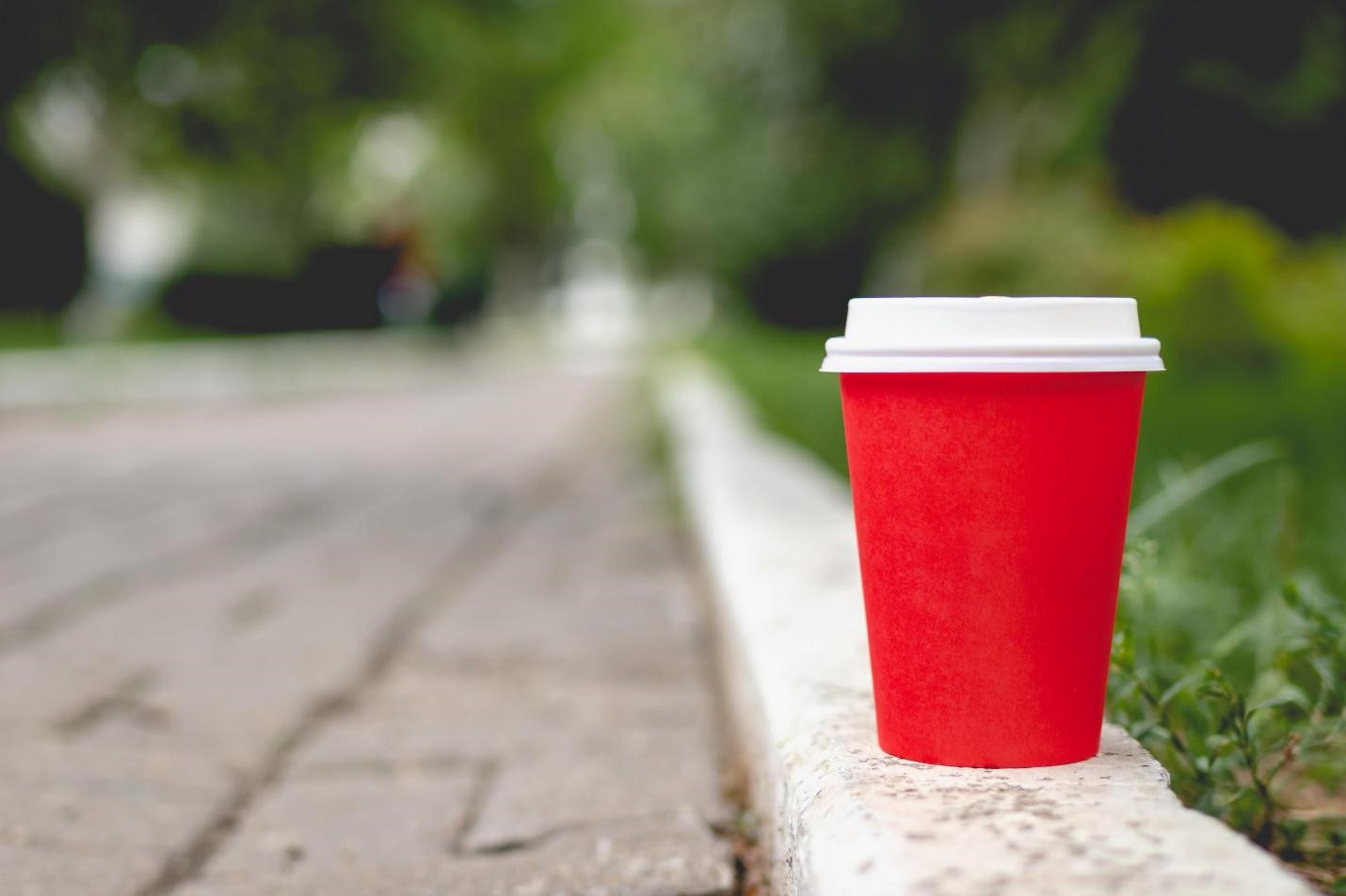 Everything You Need To Know Before Buying The Best Biodegradable Dinnerware Wholesale image - Everything You Need To Know Before Buying The Best Biodegradable Dinnerware Wholesale