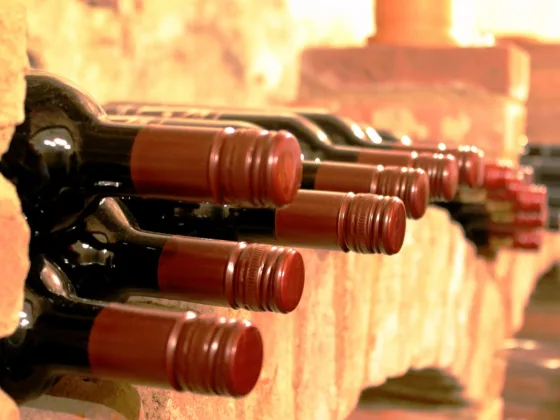 Featured image - Home Tips That Will Effectively Keep Wine in Good Condition