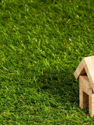 featured image - Interesting Facts About Real Estate