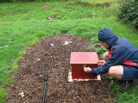 Featured image - The Benefits of Mulching the Garden for Your Trees