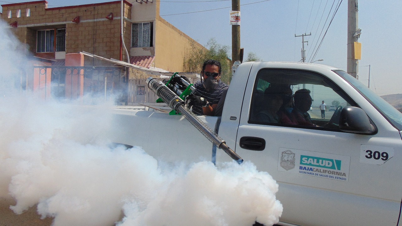 Signs That Shows That Your Home Needs Pest Control Service image - Signs That Shows That Your Home Needs Pest Control Service