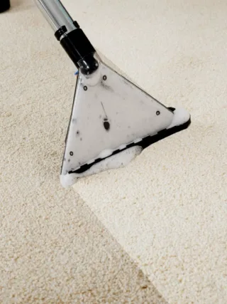 Featured image - Serious Points to Consider Regarding Carpets When Renovating Your Home