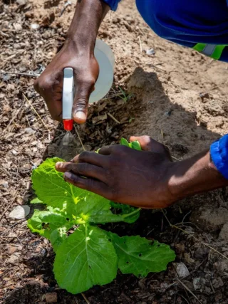 Featured image - Services a Pest Control Company Can Provide