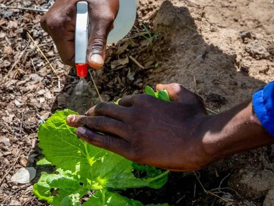 Featured image - Services a Pest Control Company Can Provide