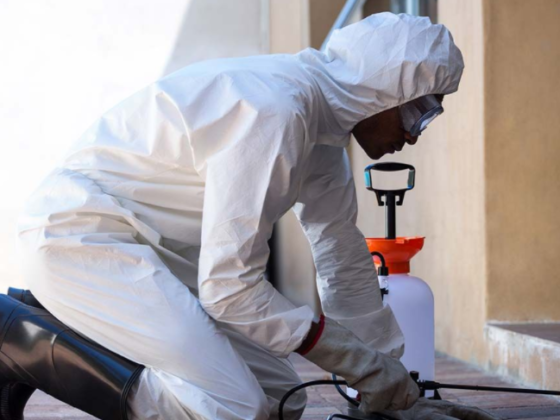 featured images - The Need For a Suitable Cleaning Franchise