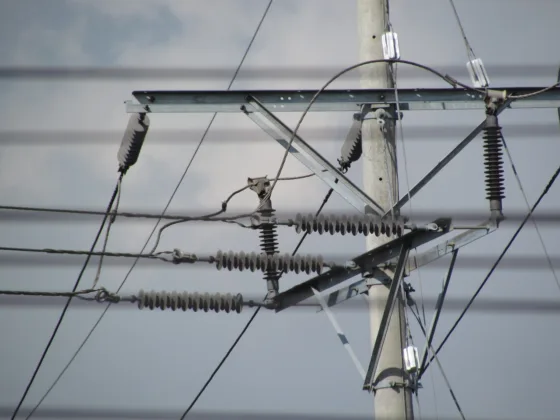 featured image - What Is the Importance of Rural Electricians?