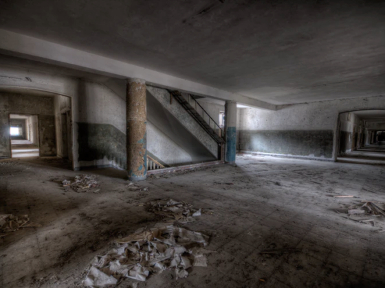 featured image - Basement Conversion: Down Is the New Up