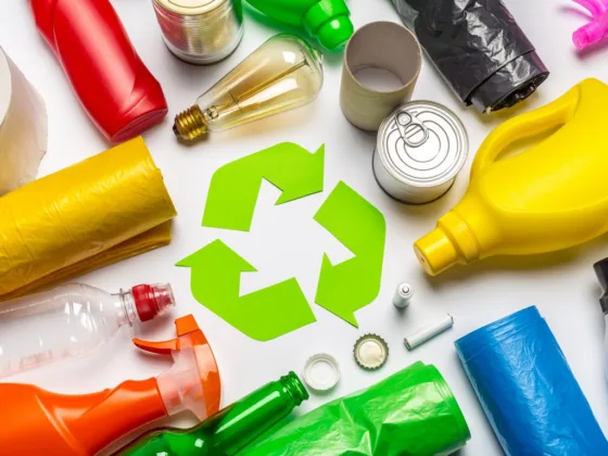 Featured image - How to Properly Recycle Your Waste