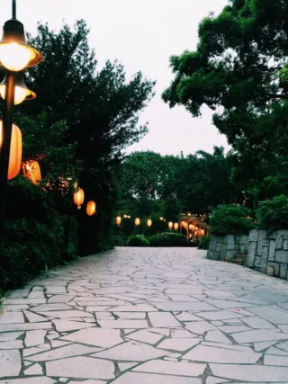 featured image - Lighting Options for Your Yard