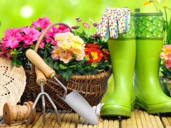 Featured image - Useful Grow and Gardening Tips for Beginners