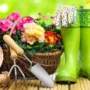 Featured image - Useful Grow and Gardening Tips for Beginners