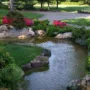 Featured image - What You Should Know About Water Gardens