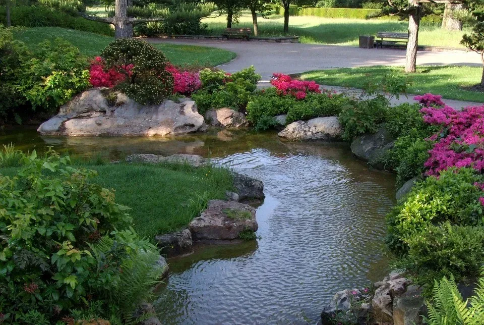 Featured image - What You Should Know About Water Gardens