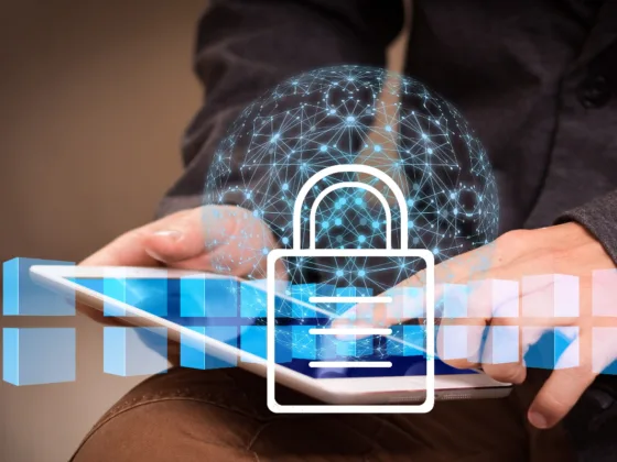 Featured image - Why You Need Custom Security Screens