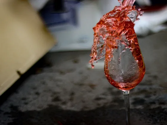 featured image - You spilled wine on your sofa. Now what?