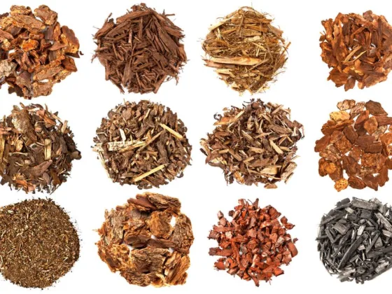 featured image - 5 Best Reasons to Put Mulch on Your Garden