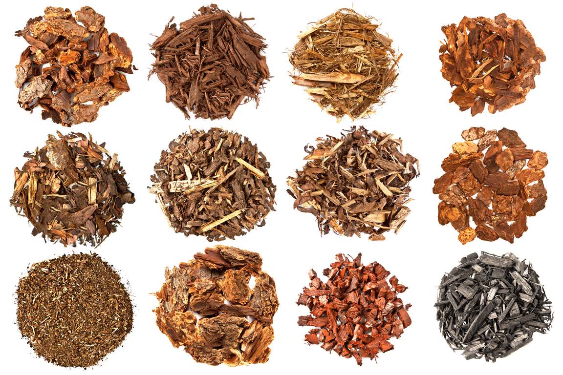 5 Best Reasons to Put Mulch on Your Garden image - 5 Best Reasons to Put Mulch on Your Garden
