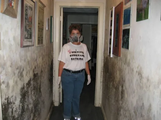 Featured image - 5 Steps to Proper Mold Removal