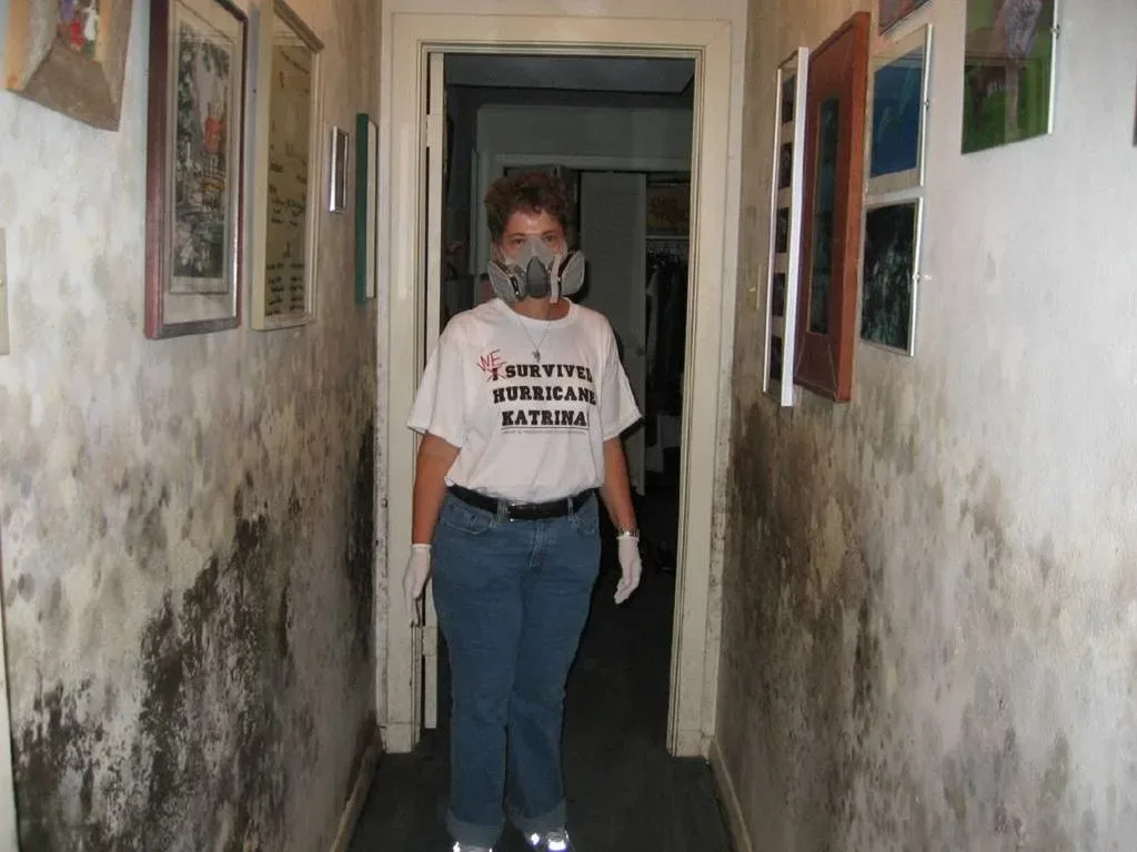 Featured image - 5 Steps to Proper Mold Removal