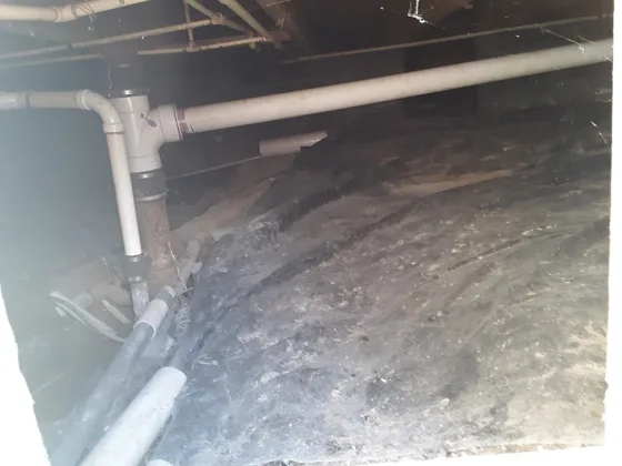 featured image - Are You Taking Crawl Space Maintenance Seriously