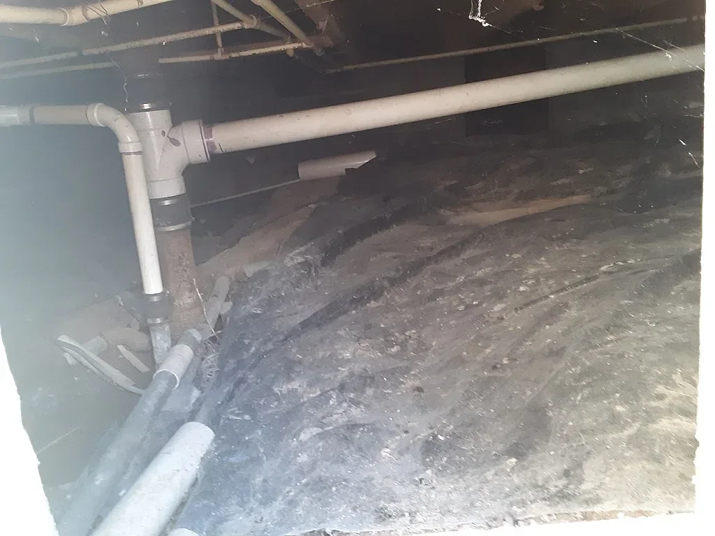 featured image - Are You Taking Crawl Space Maintenance Seriously