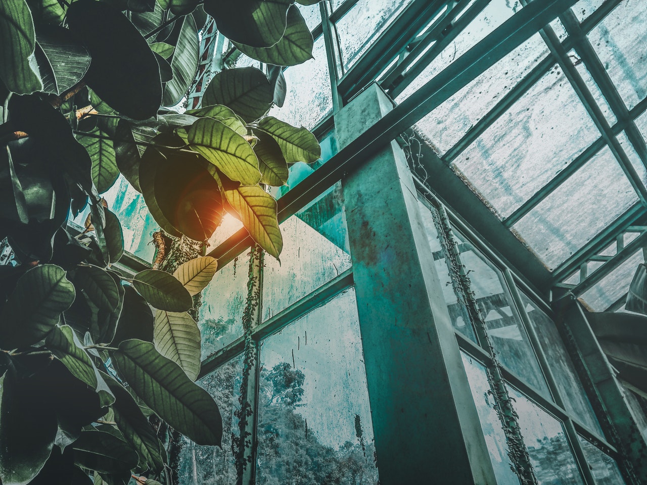 image - Freestanding Greenhouses