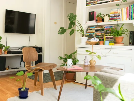 Featured image - How to Create a Homely Feeling in a Rented Apartment