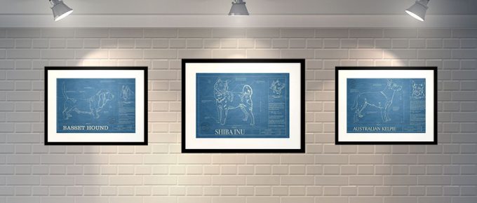 Interior Decor Inspiration/Ideas – Best Items for Designing Your Walls!